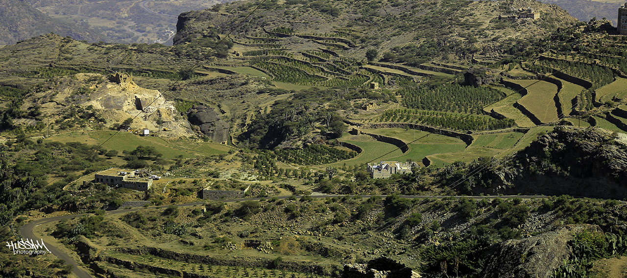 History - Yemen Mocha Coffee