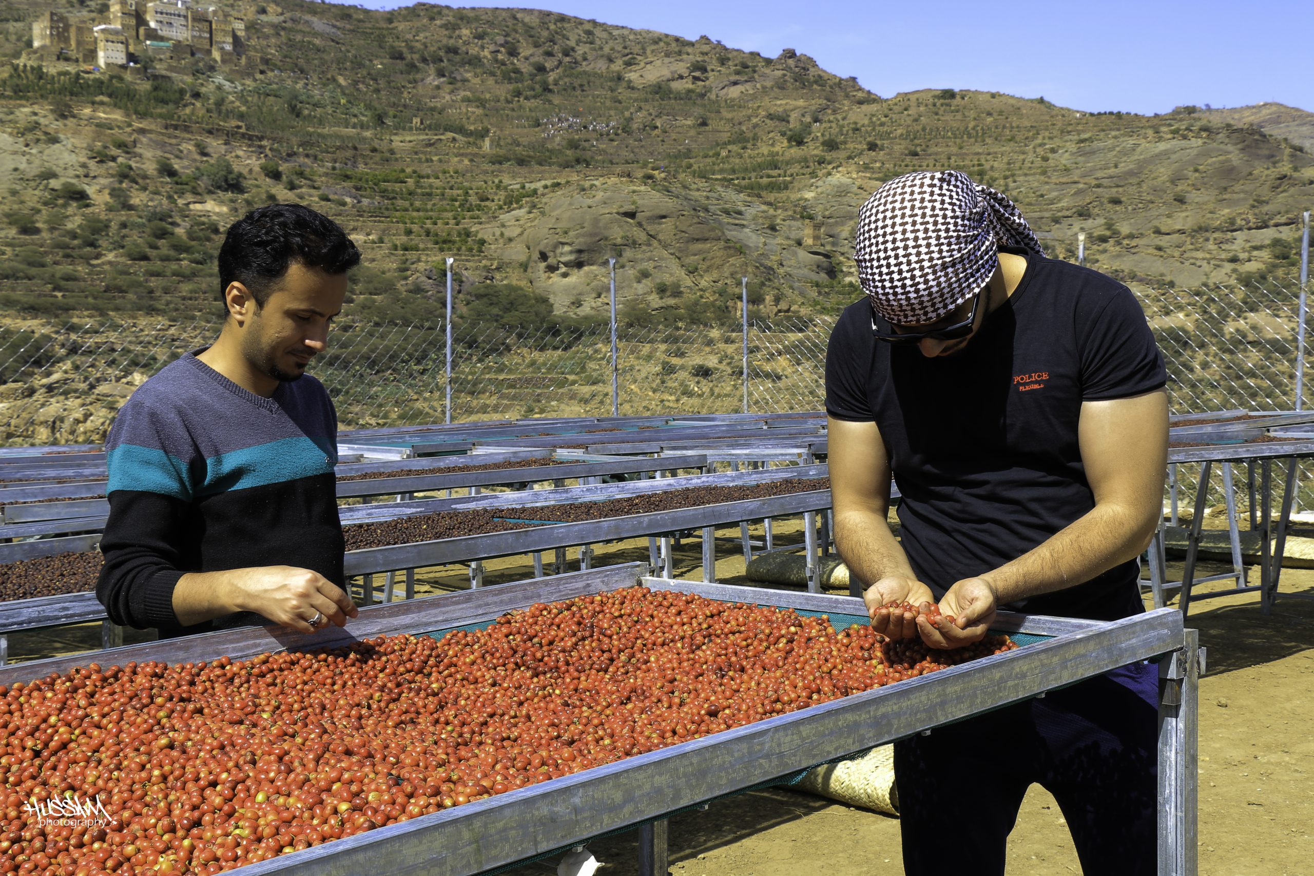 イエメン モカ コーヒーMochaOrigins Yemen Coffee